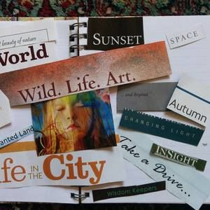 Meet your Posher, Yolanda